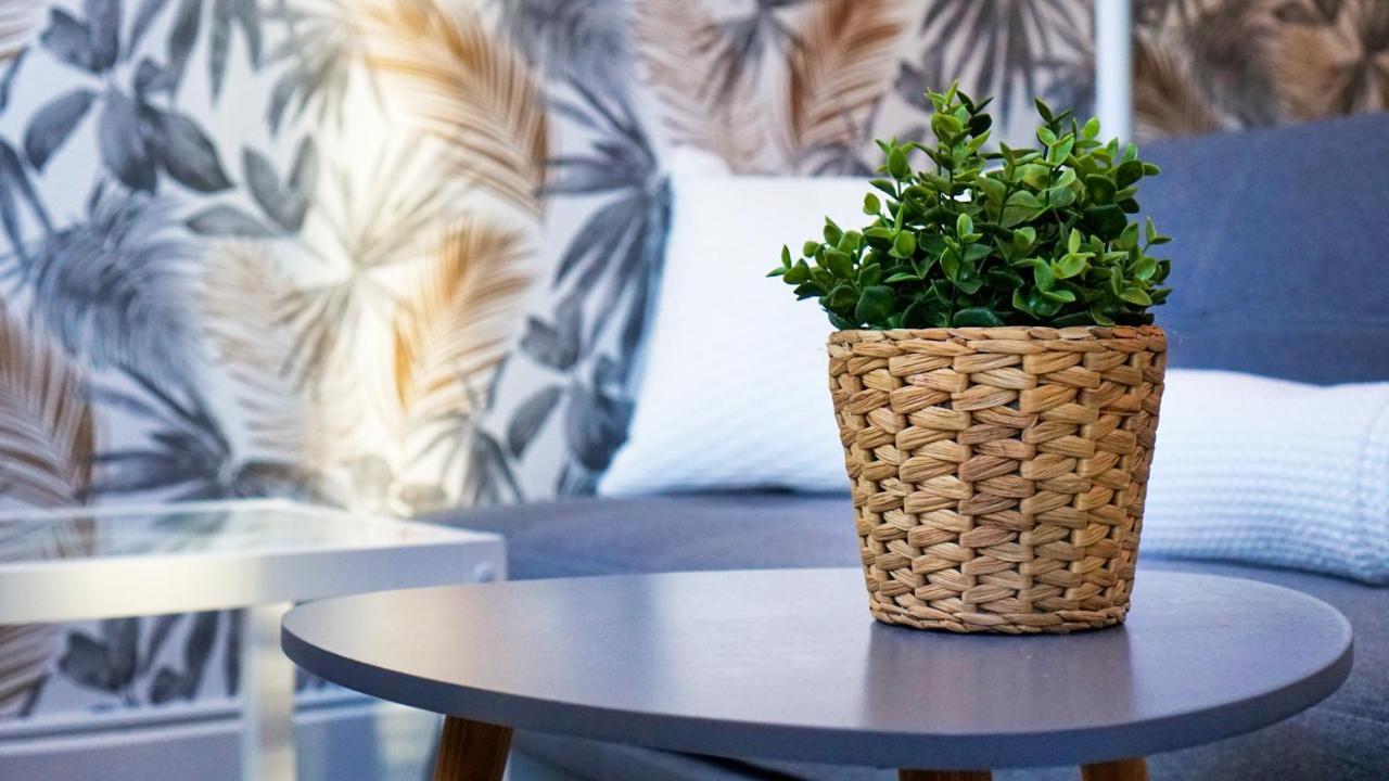 Cosy - En Face De La Gare, Au Centre Apartment Epinal